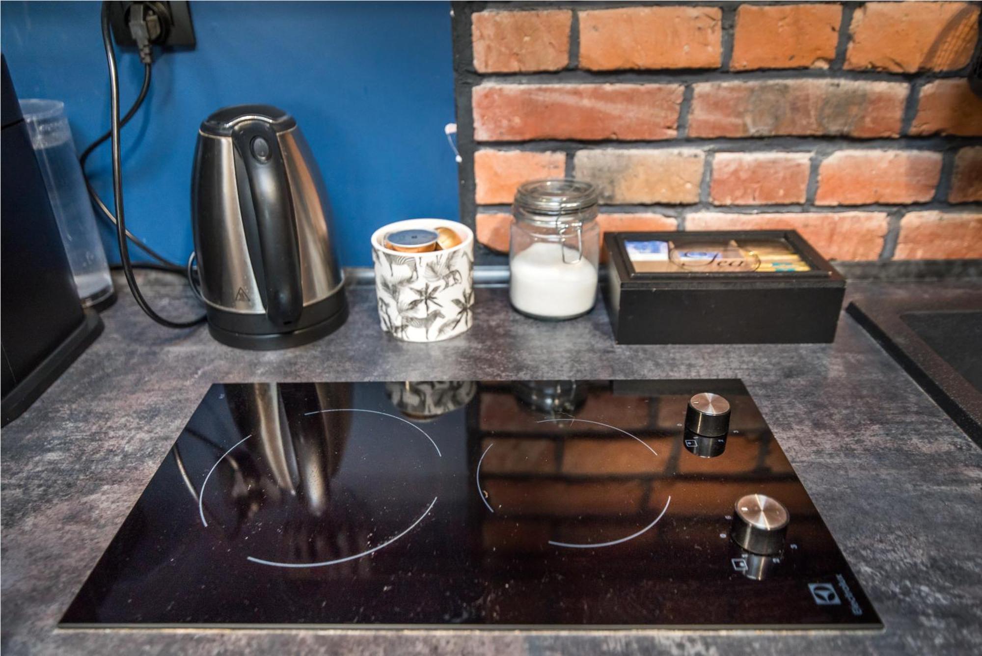 Uroczy Apartament グリヴィツェ エクステリア 写真